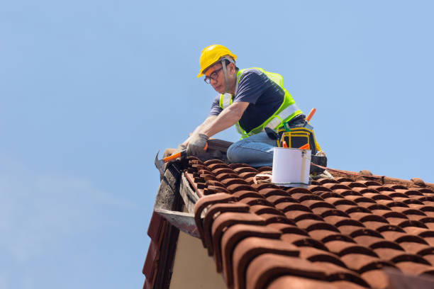 Best Gutter Replacement  in Wooster, OH